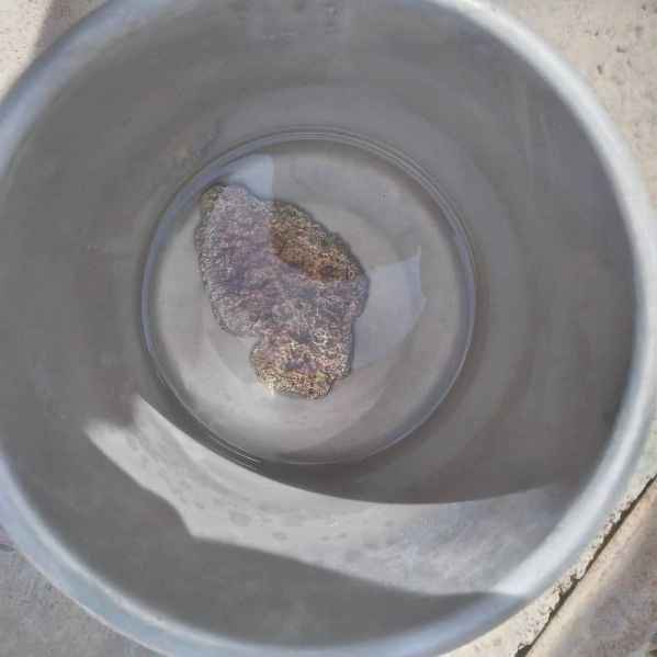 Silver pill 2 % gold
